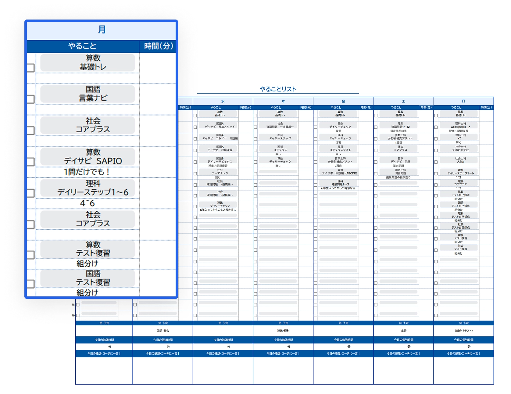 Study plan